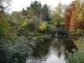 Wow, this is my favourite one! A beatiful autumn image...