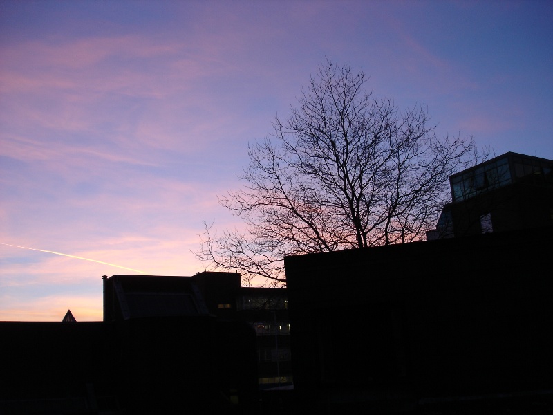 Lovely sky on Thursday afternoon. I captured this beautiful image from our kitchen in college House...